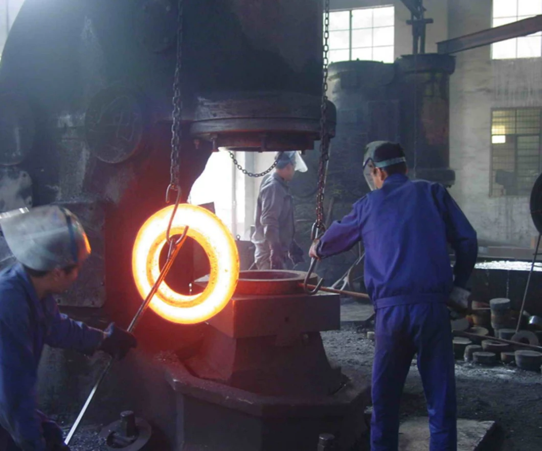 El ANSI B16.5 de las ventas directas de la fábrica forjó el reborde de placa ciego de acero inoxidable del tubo de agua del acero de carbono para la tubería del agua