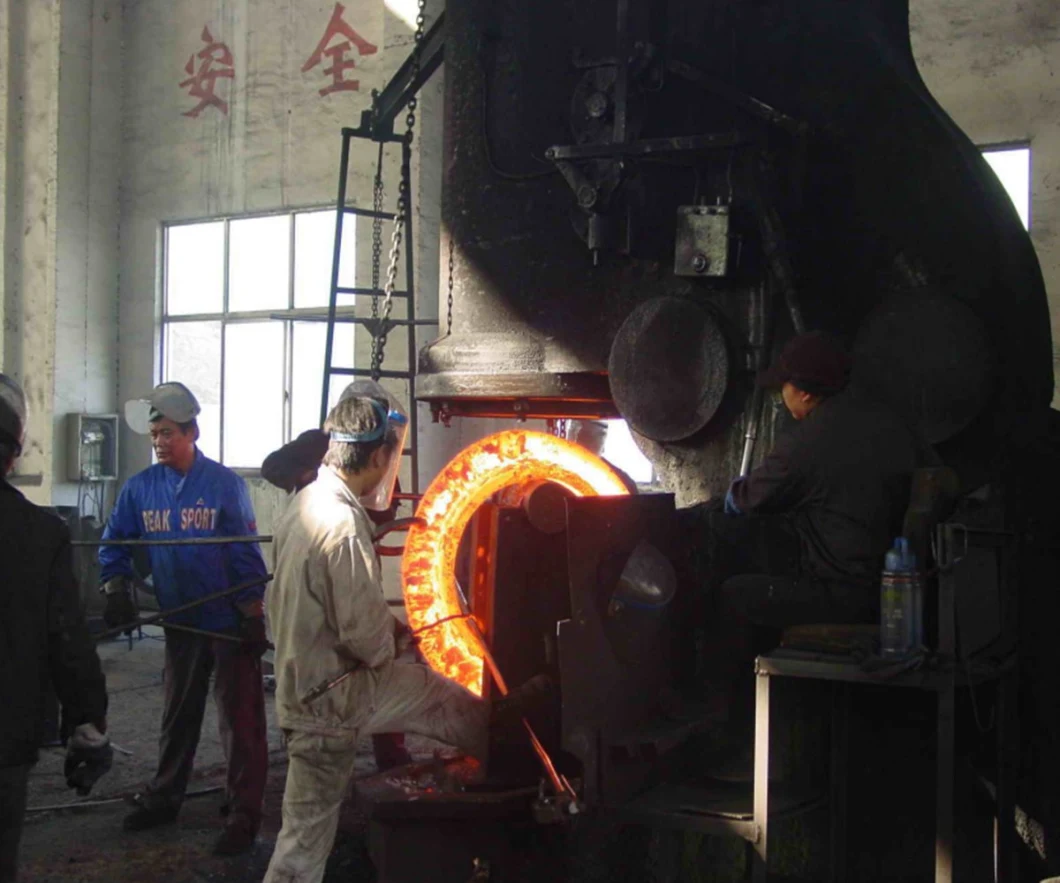 El ANSI B16.5 de las ventas directas de la fábrica forjó el reborde de placa ciego de acero inoxidable del tubo de agua del acero de carbono para la tubería del agua